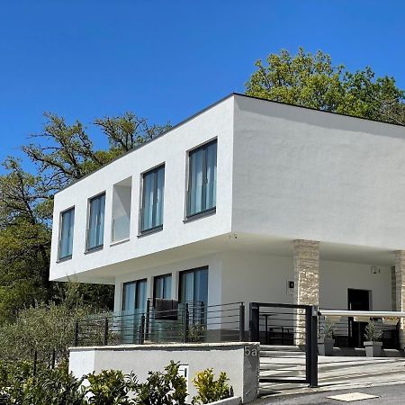 Villa Dispet With Heated Pool, Jacuzzi, Sauna And Cinema Čelina Kültér fotó