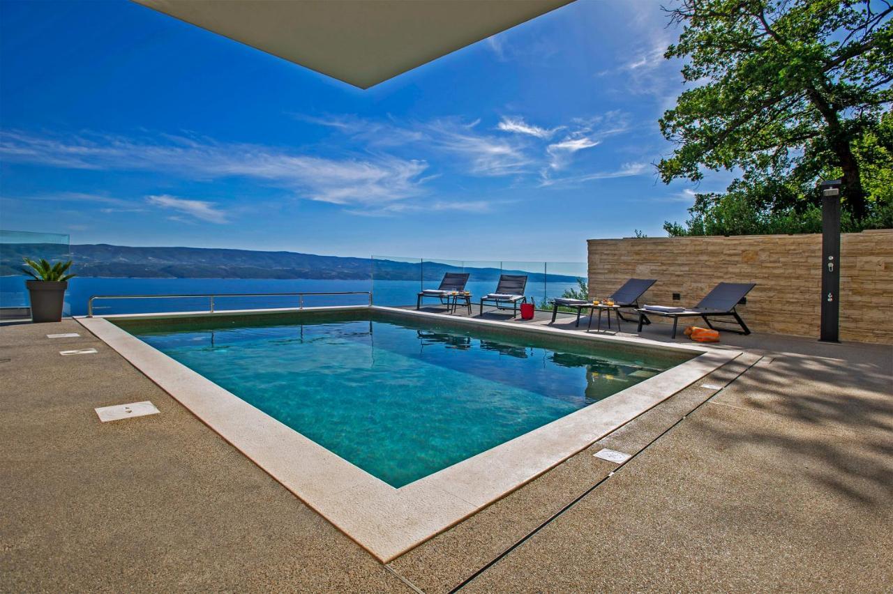 Villa Dispet With Heated Pool, Jacuzzi, Sauna And Cinema Čelina Kültér fotó