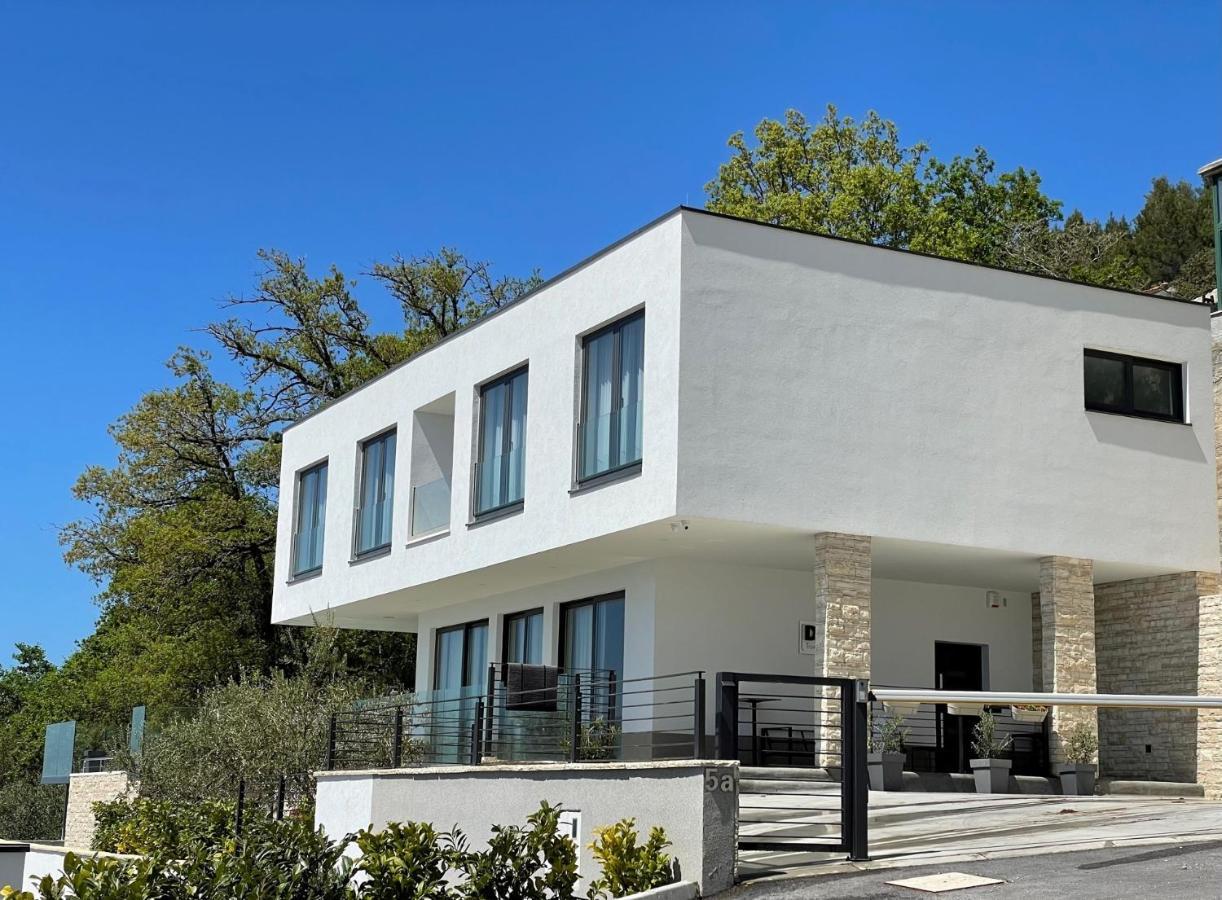 Villa Dispet With Heated Pool, Jacuzzi, Sauna And Cinema Čelina Kültér fotó